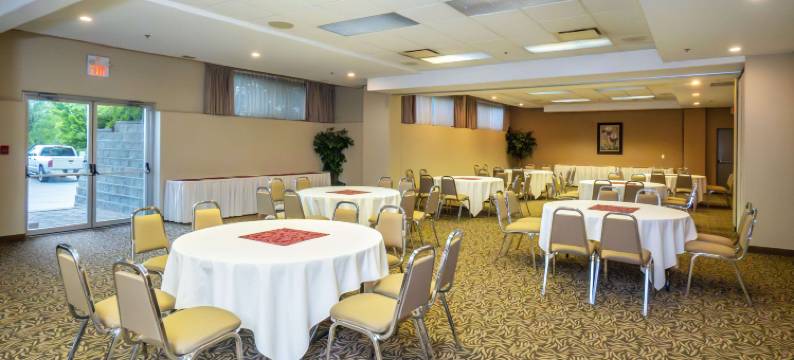 舒适套房酒店(Comfort Inn & Suites)图片