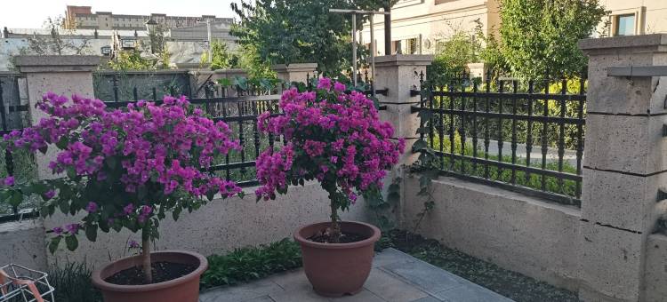 别墅小院轻奢民宿(兴业路分店)图片