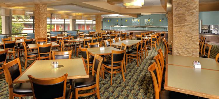 奥兰多罗森酒店(Rosen Inn at Pointe Orlando)图片