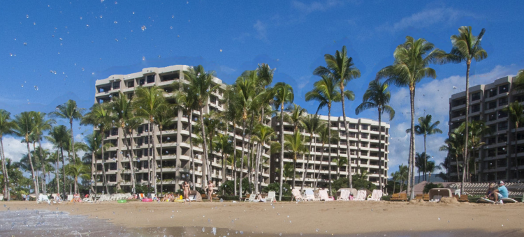 凯阿纳帕利阿里(Kaanapali Alii)图片