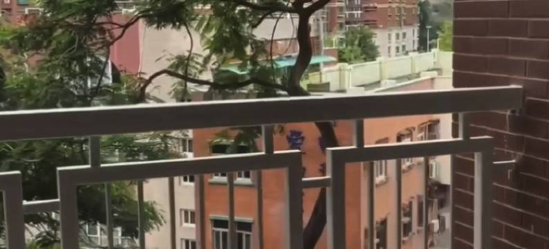 梅林一村98平南向公寓(梅林路1号分店)图片