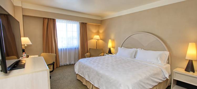 Holiday Inn 莱昂 - 会展中心(Holiday Inn Leon-Convention Center)图片