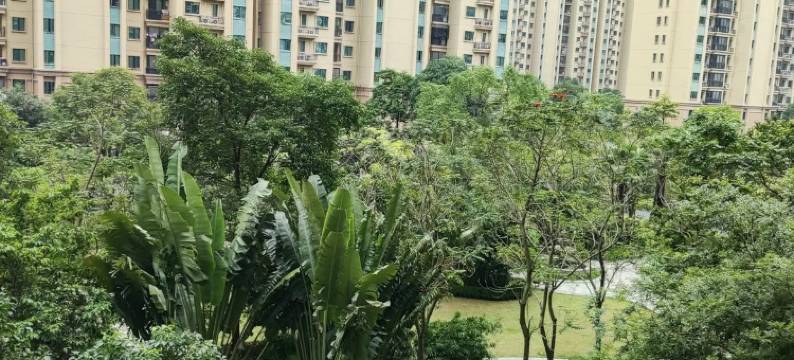 古城潮巢公寓短租(金碧路分店)图片