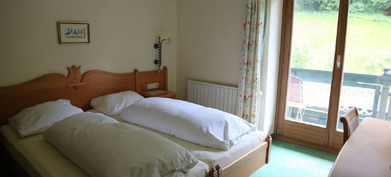 Voglauerhof酒店(Hotel Voglauerhof)图片