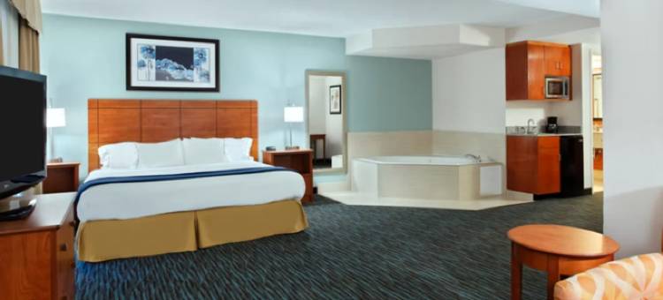 里士满-布莱德米尔-赫尔街智选假日酒店(Holiday Inn Express & Suites Richmond-Brandermill-Hull ST.)图片