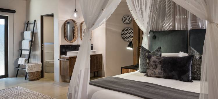 Leopard Sands, Kruger Park图片