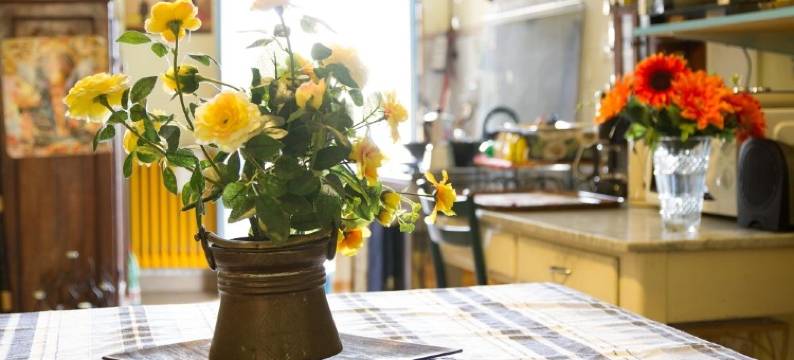 拉杰玛迪埃琳娜酒店(La Gemma di Elena)图片