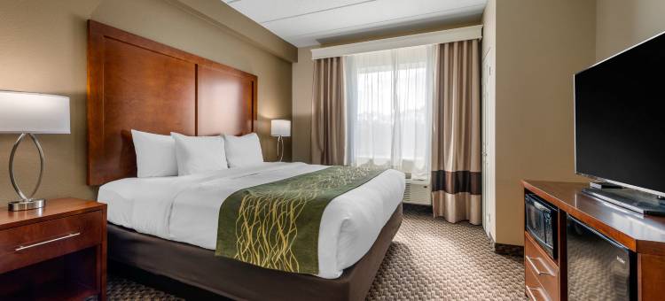怀尔伍德-村庄舒适套房酒店(Comfort Inn & Suites Wildwood - the Villages)图片