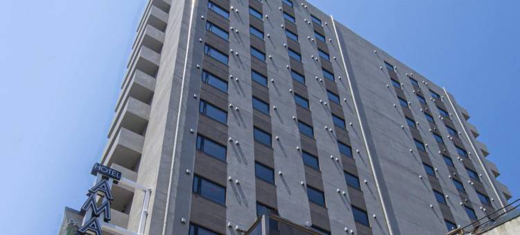 阿玛内克酒店-蒲田站前(HOTEL AMANEK Kamata-Eki Mae)图片