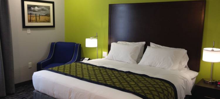 温德姆圣安吉洛浩枫套房酒店(Hawthorn Suites by Wyndham San Angelo)图片