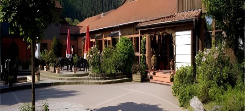弗兰肯森林华格纳酒店(Wagners Hotel im Frankenwald)图片