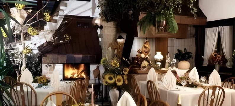 道纳布里克酒店(Hotel Donaublick)图片