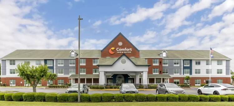 汉普顿体育场附近舒适套房酒店(Comfort Inn & Suites Hampton Near Coliseum)图片
