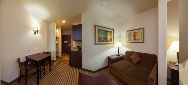 智选假日套房酒店布雷迪 by IHG(Holiday Inn Express & Suites Brady by IHG)图片