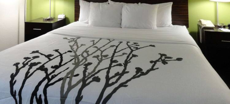 舒眠酒店及套房哥伦布州立大学附近 - 摩尔堡地区(Sleep Inn & Suites Near Columbus - State University Area)图片