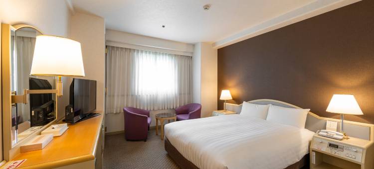 冈山华盛顿广场酒店(Okayama Washington Hotel Plaza)图片