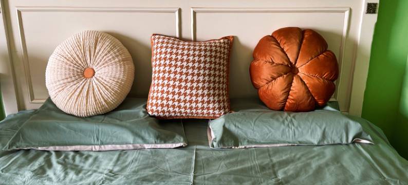 苏雅苏公寓(都锦生路分店)图片