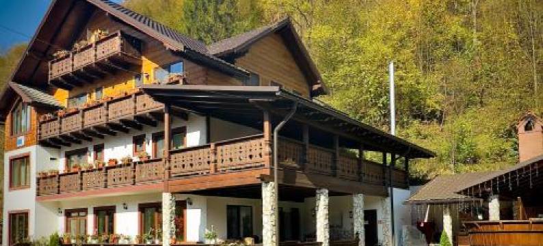 Pensiunea Drumul Iancului图片