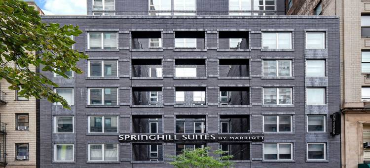 纽约曼哈顿中城/公园大道SpringHill Suites酒店(SpringHill Suites New York Midtown Manhattan/Park Avenue)图片