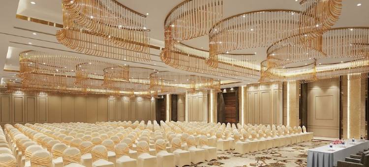 泰姬提鲁帕提酒店(Taj Tirupati)图片