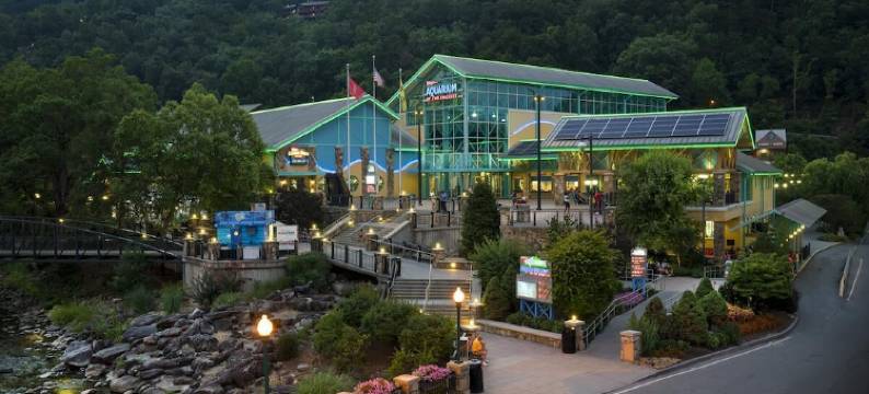 Promo 10% Weekly Discount!February Special,Hot Tub Pool Table, Arcades Wifi-Pet图片