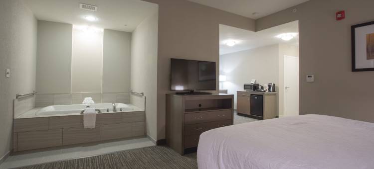希尔顿花园旅馆-波林布鲁克 I 55(Hilton Garden Inn Bolingbrook)图片