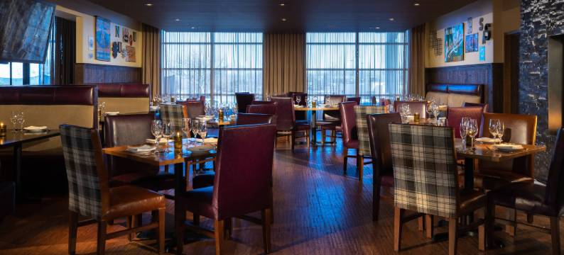 底特律诺维巴朗纳特万丽酒店(The Baronette Renaissance Detroit-Novi Hotel)图片