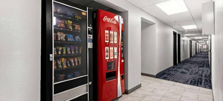 杜马斯伊克诺旅馆(Econo Lodge Dumas)图片