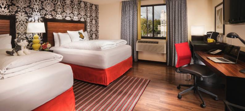 Staypineapple-麦克斯韦酒店-西雅图中心-西雅图(Staypineapple, the Maxwell Hotel, Seattle Center Seattle)图片