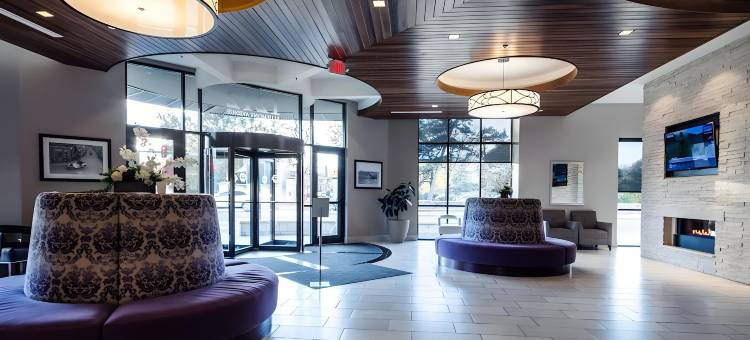 布鲁蒙特酒店(Bluemont Hotel)图片