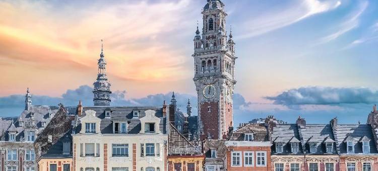 海洋丽尔奥古斯丁酒店及水疗中心(Hotel & Spa Oceania Lille Les Augustins)图片