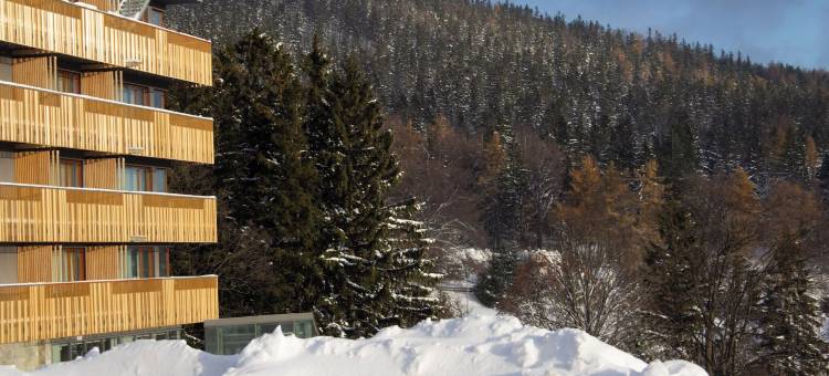 斯克拉斯卡波伦巴丽笙酒店(Radisson Hotel Szklarska Poreba)图片