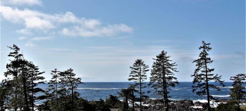 环太平洋度假屋酒店(Pacific Rim Retreat)图片