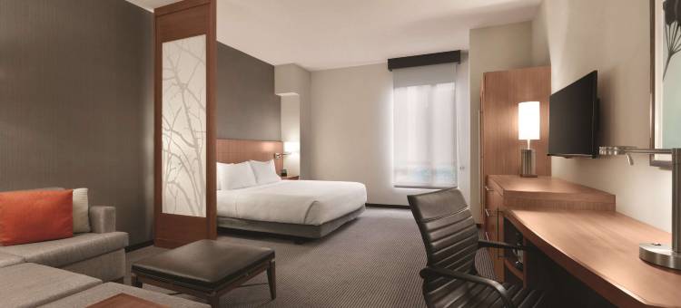 巴尔的摩内港凯悦嘉轩酒店(Hyatt Place Baltimore Inner Harbor)图片