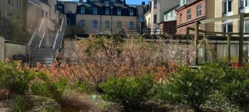 在角落上(På Hörnet Hotell)图片