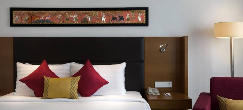 海得拉巴 KCP 美居酒店(Mercure Hyderabad KCP)图片