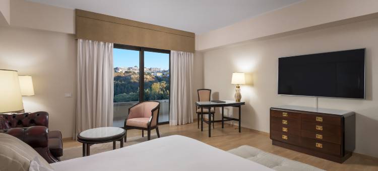 洛德斯宫殿酒店(Rodos Palace Hotel)图片