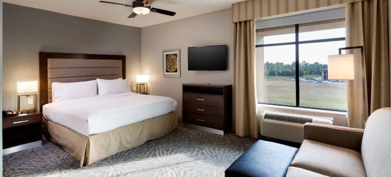 休斯顿卡蒂米尔斯购物中心Homewood Suites by Hilton(Homewood Suites by Hilton Houston/Katy Mills Mall)图片