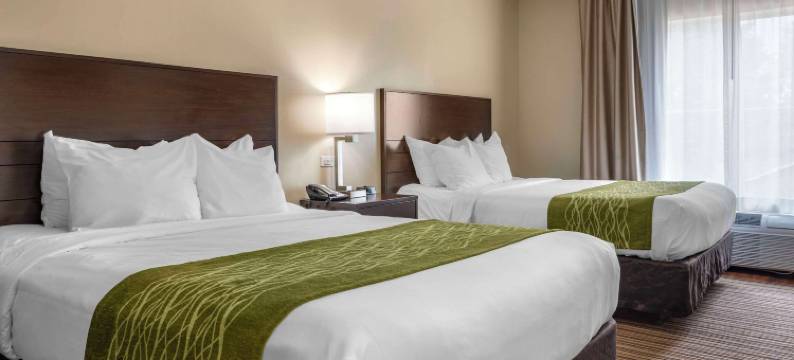 舒适酒店(Comfort Inn)图片