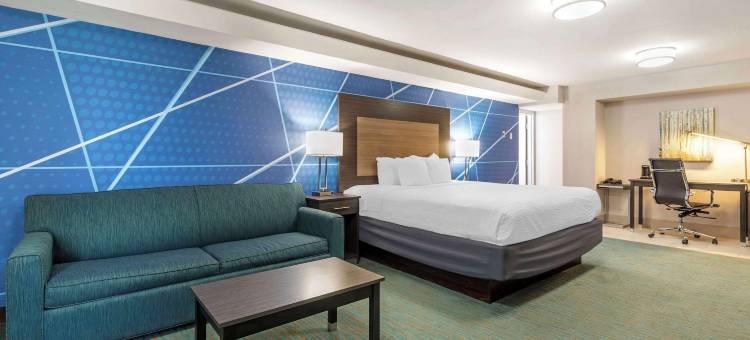 舒适酒店达拉斯北爱情机场(Comfort Inn Dallas North Love Field Airport)图片