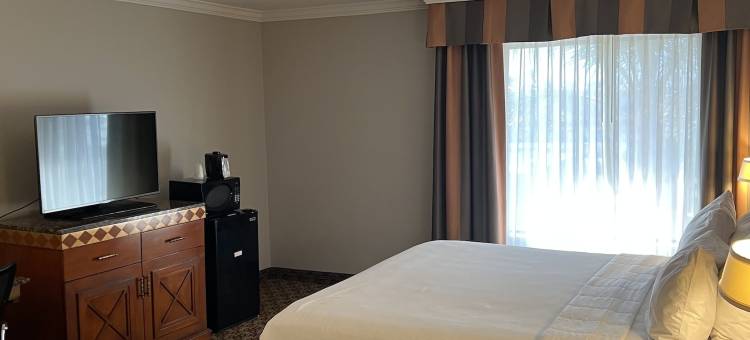 秀拉酒店(Hotel Xola)图片