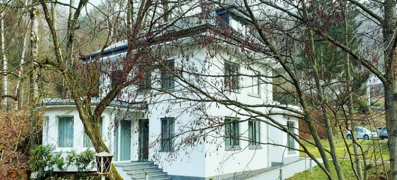 阿尔维斯公园酒店(Parc Hotel Alvisse)图片