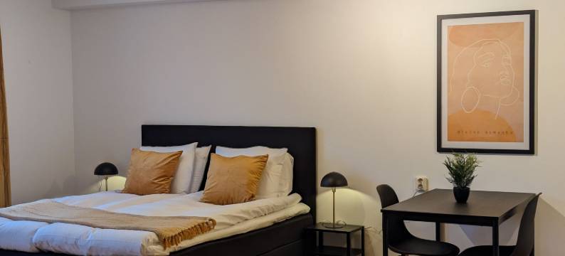 布罗酒店(Hotell Bro)图片