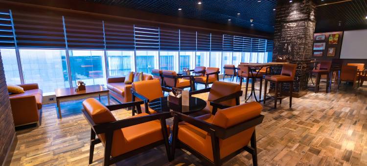 新德里萨凯特希尔顿花园酒店(Hilton Garden Inn New Delhi/Saket)图片