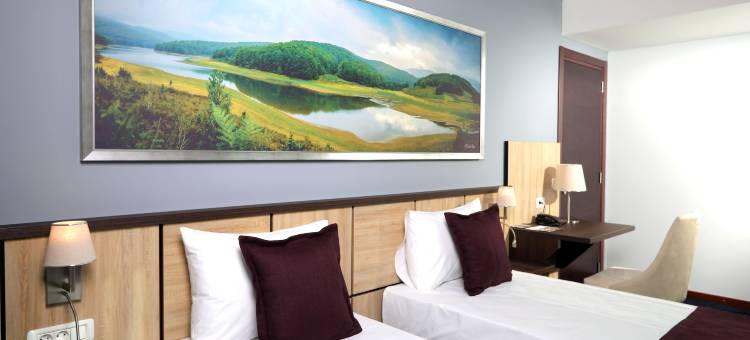 美居泰托沃酒店(Mercure Tetovo)图片