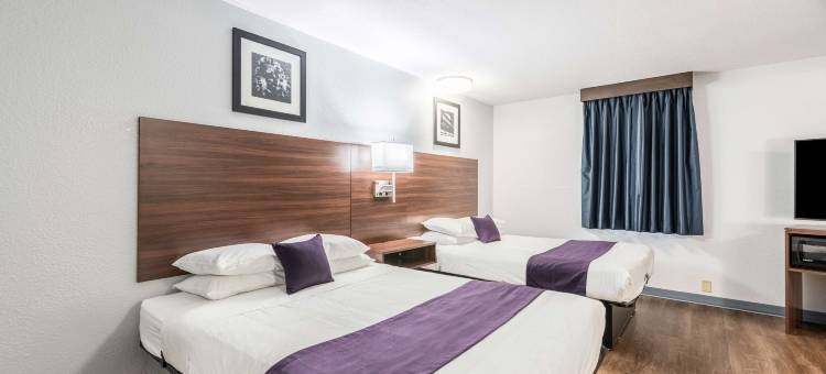 美洲最佳价值旅馆塞尔西(Knights Inn Searcy)图片