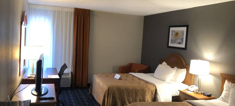 罗切斯特南宜必思酒店(Quality Inn Rochester South)图片