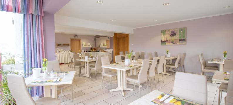 茨维考摩泽尔加尼酒店(Hotel Garni Zwickau-Mosel)图片