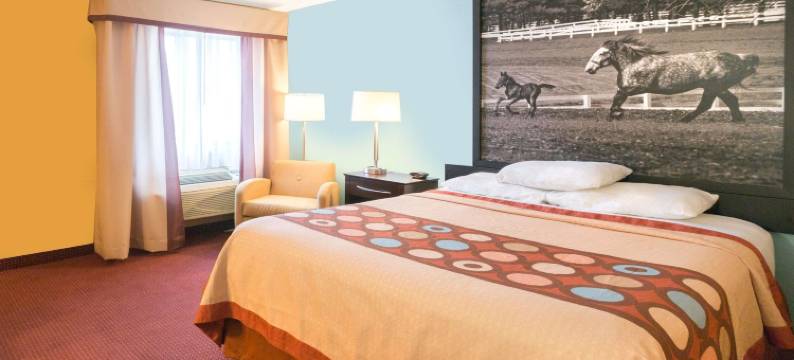 里奇蒙温德姆速8酒店(Super 8 by Wyndham Richmond)图片