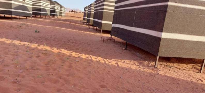 贝都因未来营地(Bedouin Future Camp)图片